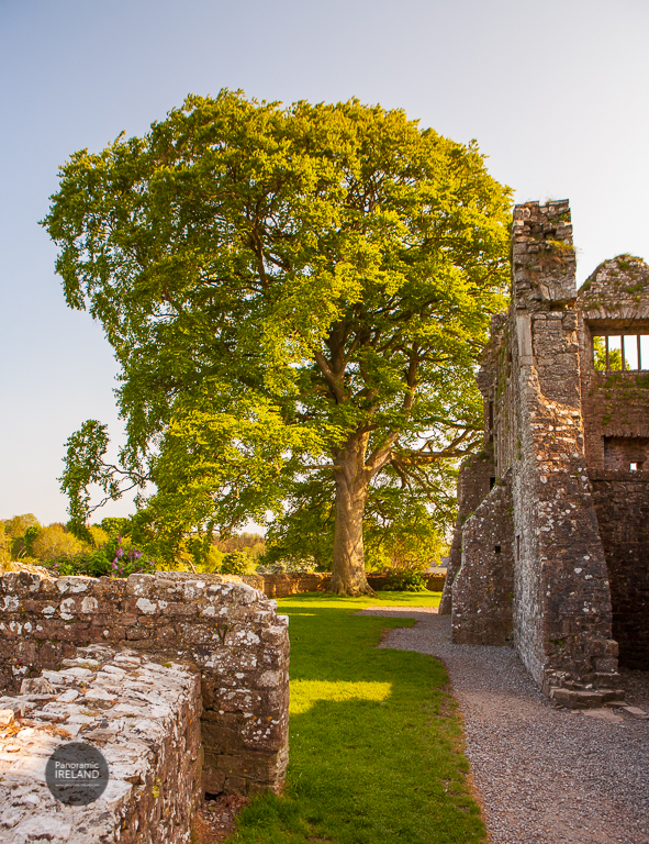 Bective Abbey, a 12th-century Cistercian abbey in County Meath